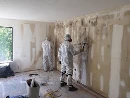 Environmental Consulting for Mold Prevention in Morehead City, NC